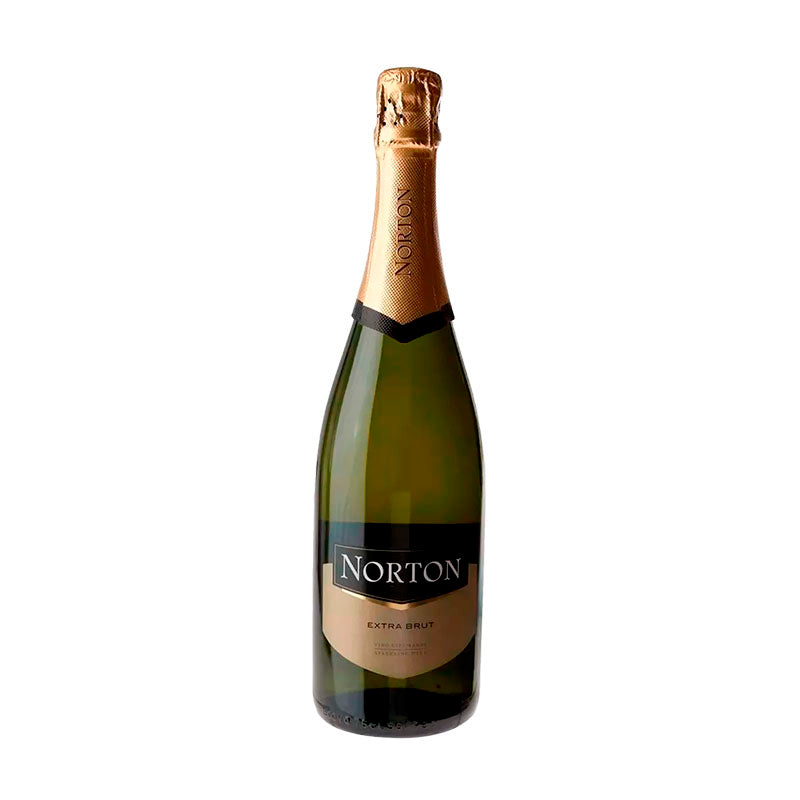 CHAMP. NORTON EXT.BRUT 750 CC.